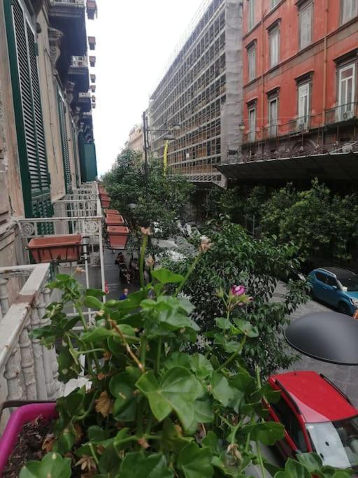 Capa E Coda In Centro Storico Appartamento *